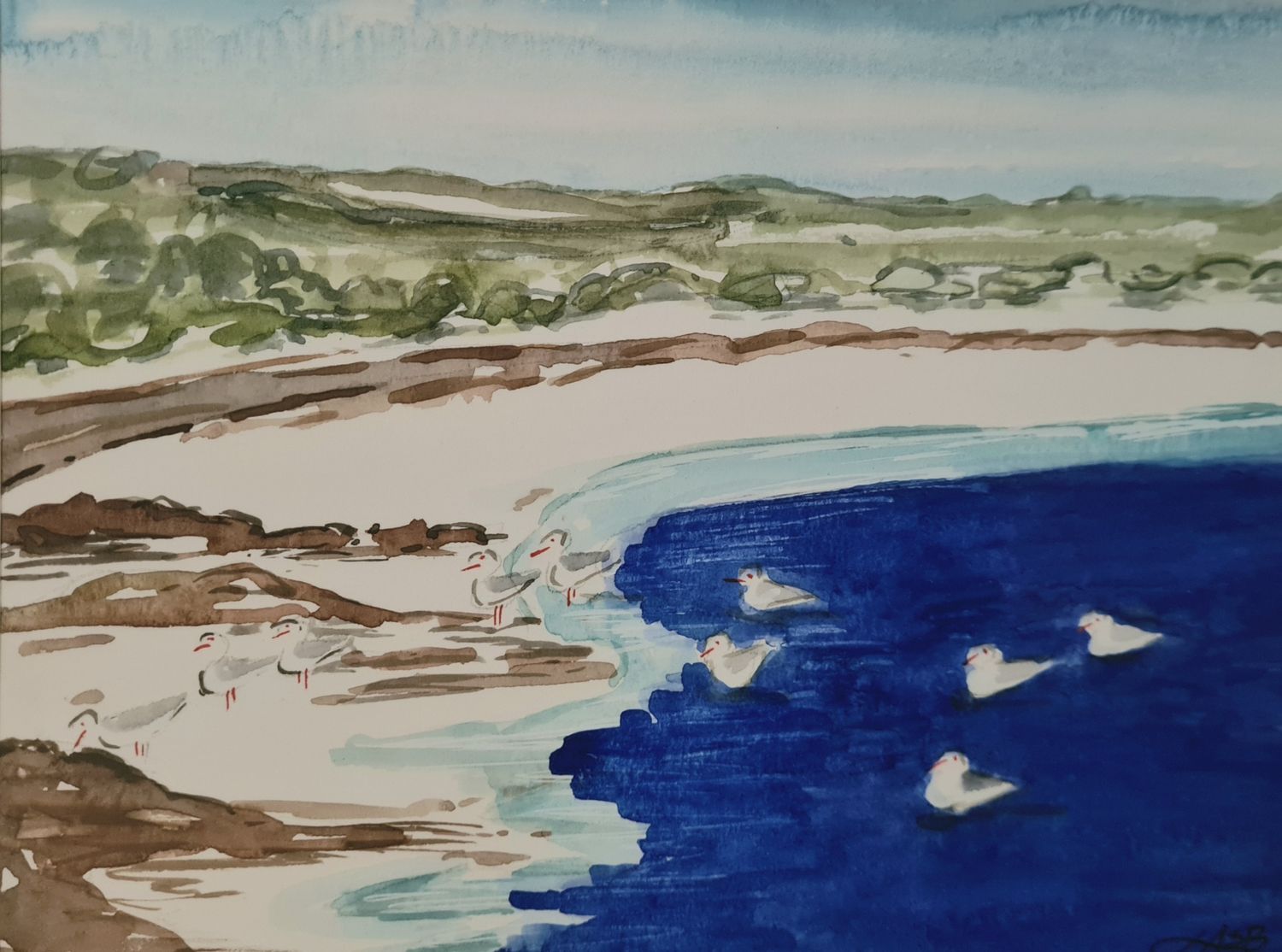 Seagull Bay Original Water Colour and Ink Original - Size A4 Mounted Artwork $55 