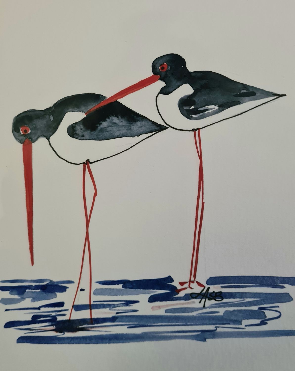 Pied Oyster Catchers - Original Water Colour and Ink Original - Size A4 Mounted Artwork $55 