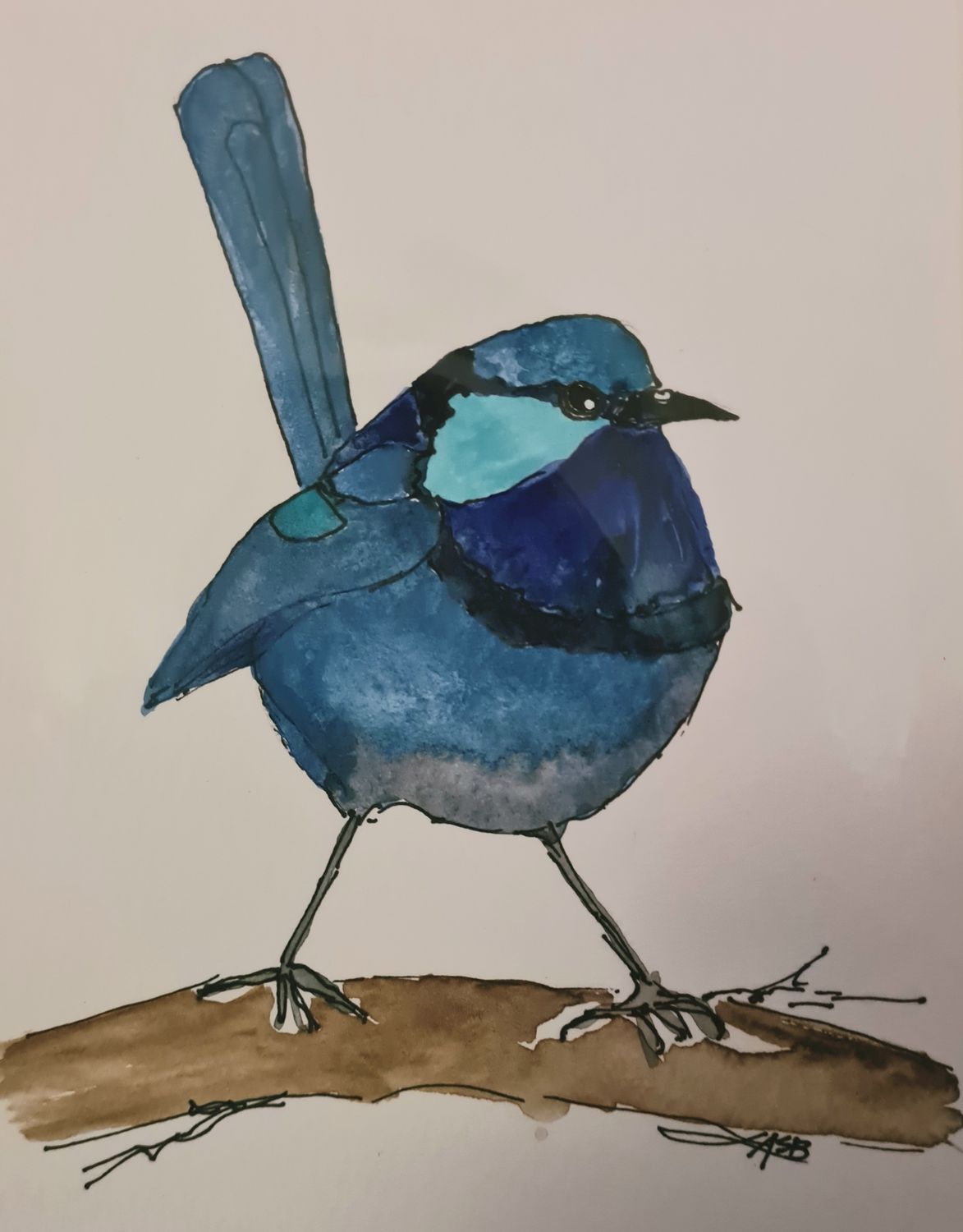 Baby Blue Wren  - Original Water Colour and Ink Original - Size A4 Mounted Artwork $55 