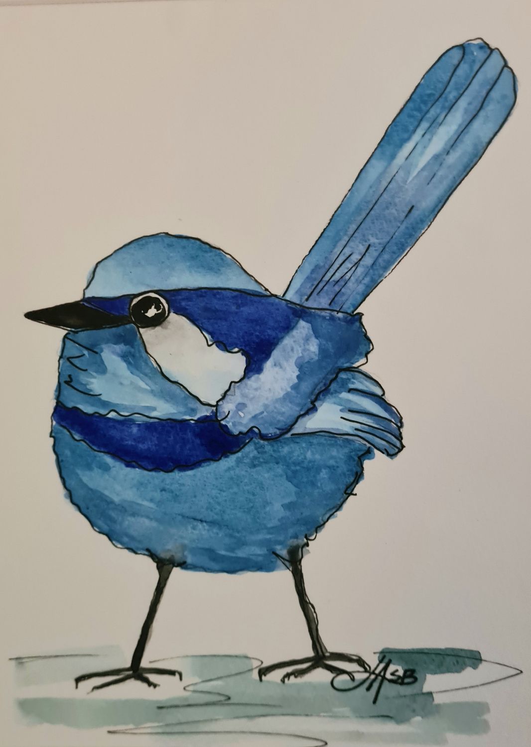 Fluffed up Blue Wren - Original Water Colour and Ink Original - Size A4 Mounted Artwork $55 