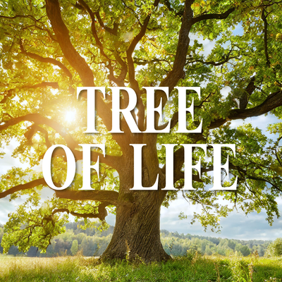 Tree of Life