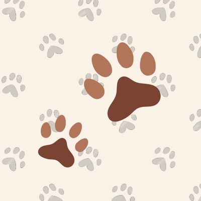 Pet Jewellery