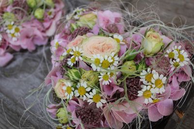 Pusteblume-Shop