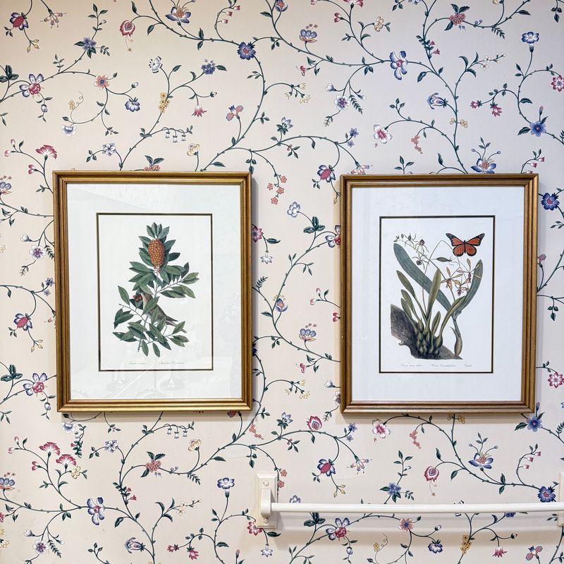 Two large Catesby botanical prints, 'Little Thrush' and 'Monarch Butterfly' in elegant matting and gold wooden frame 22"H x 17"W