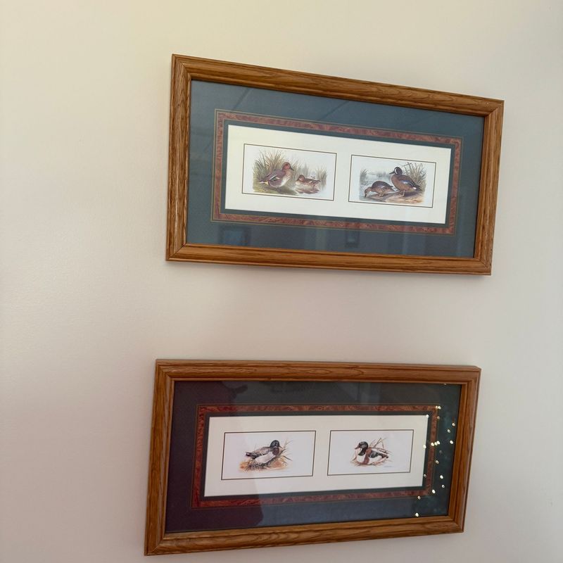 Pair of rectangular duck prints 18 Pair of rectangular duck prints 18" x 10"