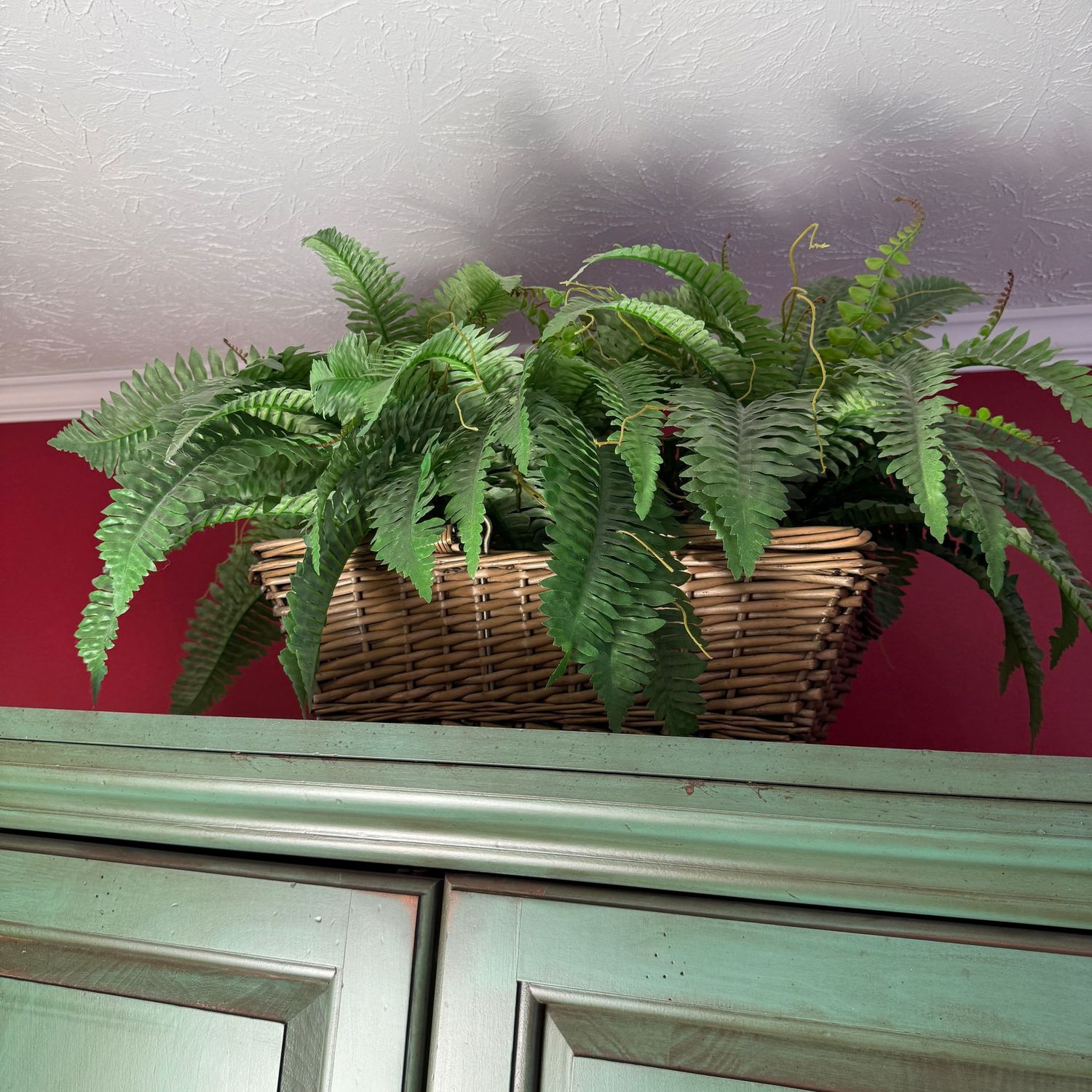 Rectangular basket with handles, fern arrangement 12"H x 24"L
