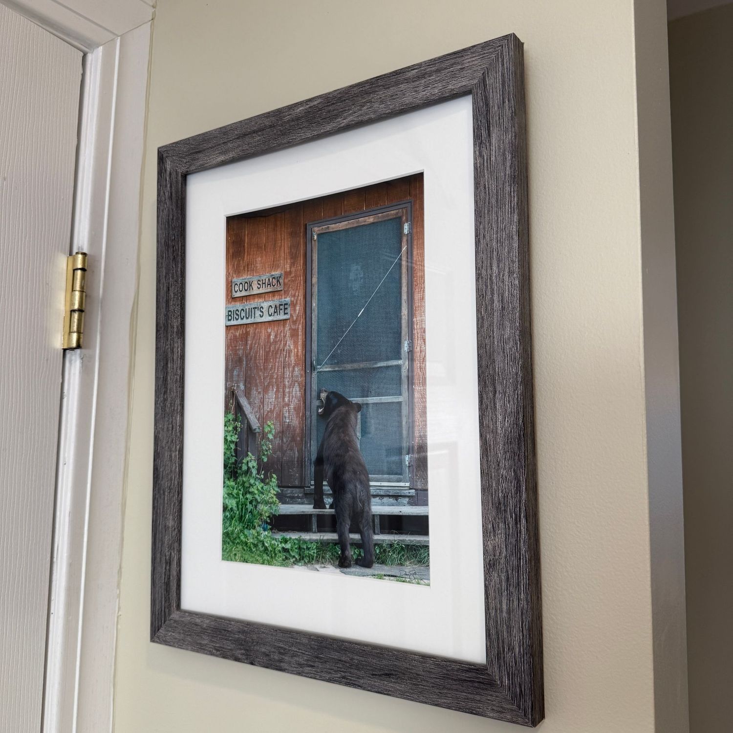 Cook Shack bear photographic print 18" x 14"