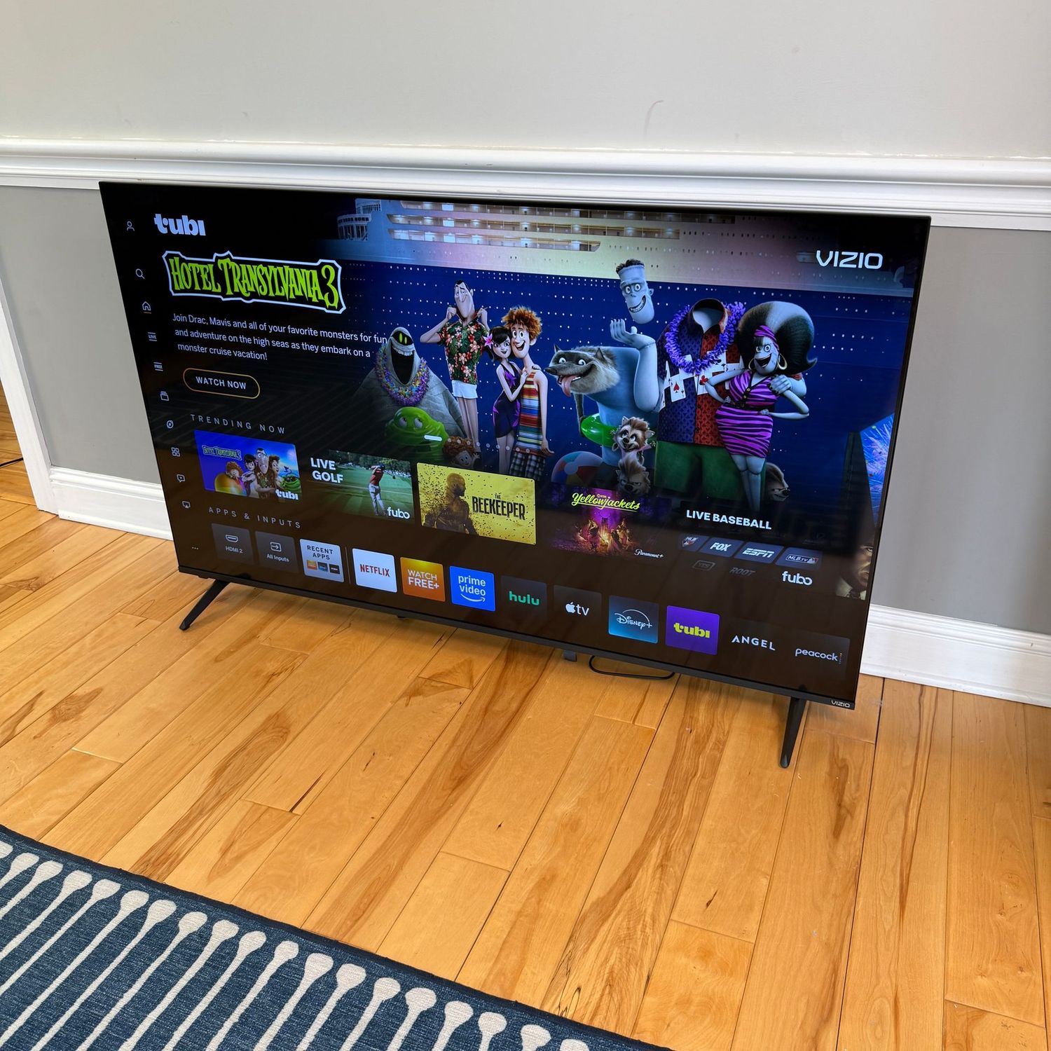 Vizio 65" 4K Smart TV, nice condition, nearly new, with controller