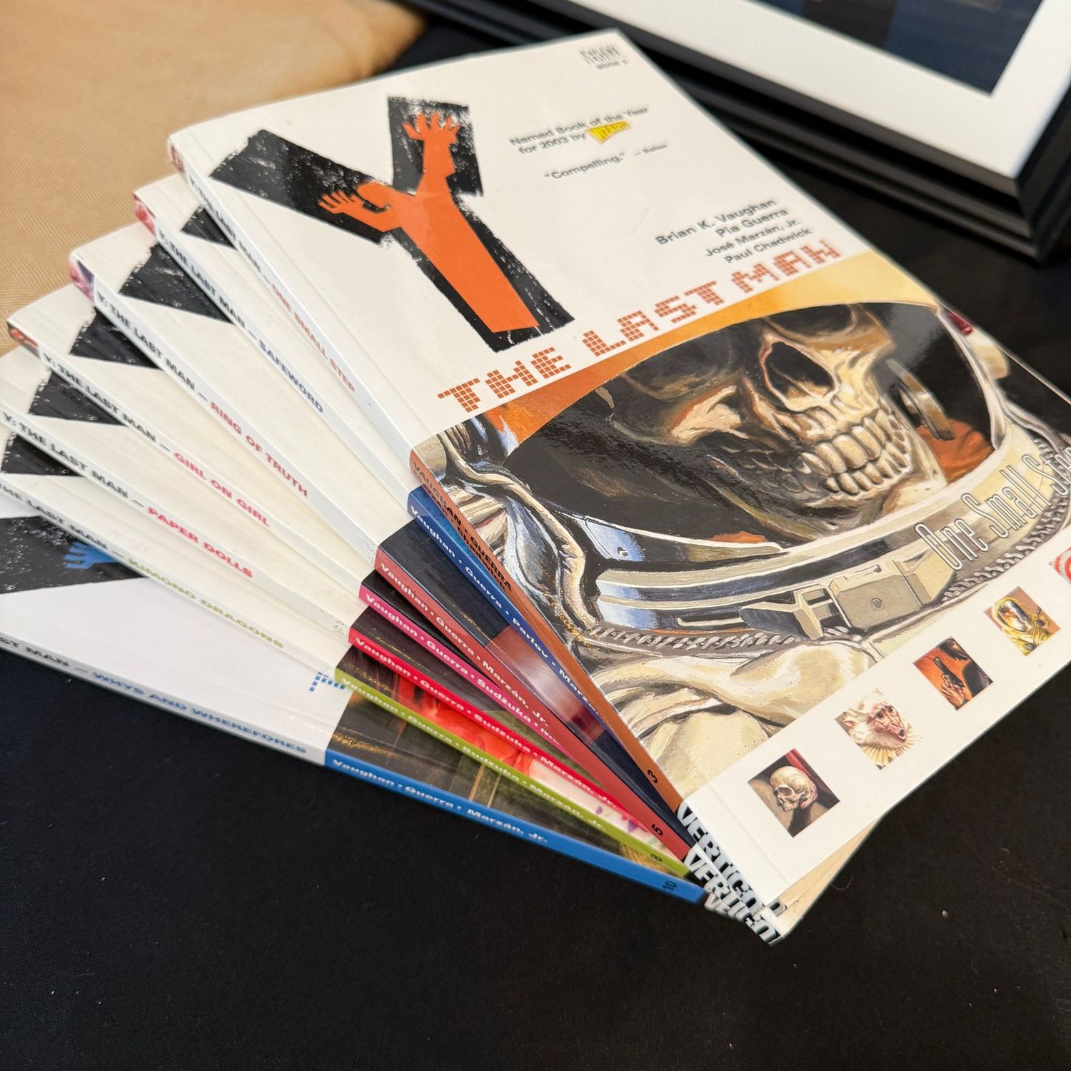 The Last Man books