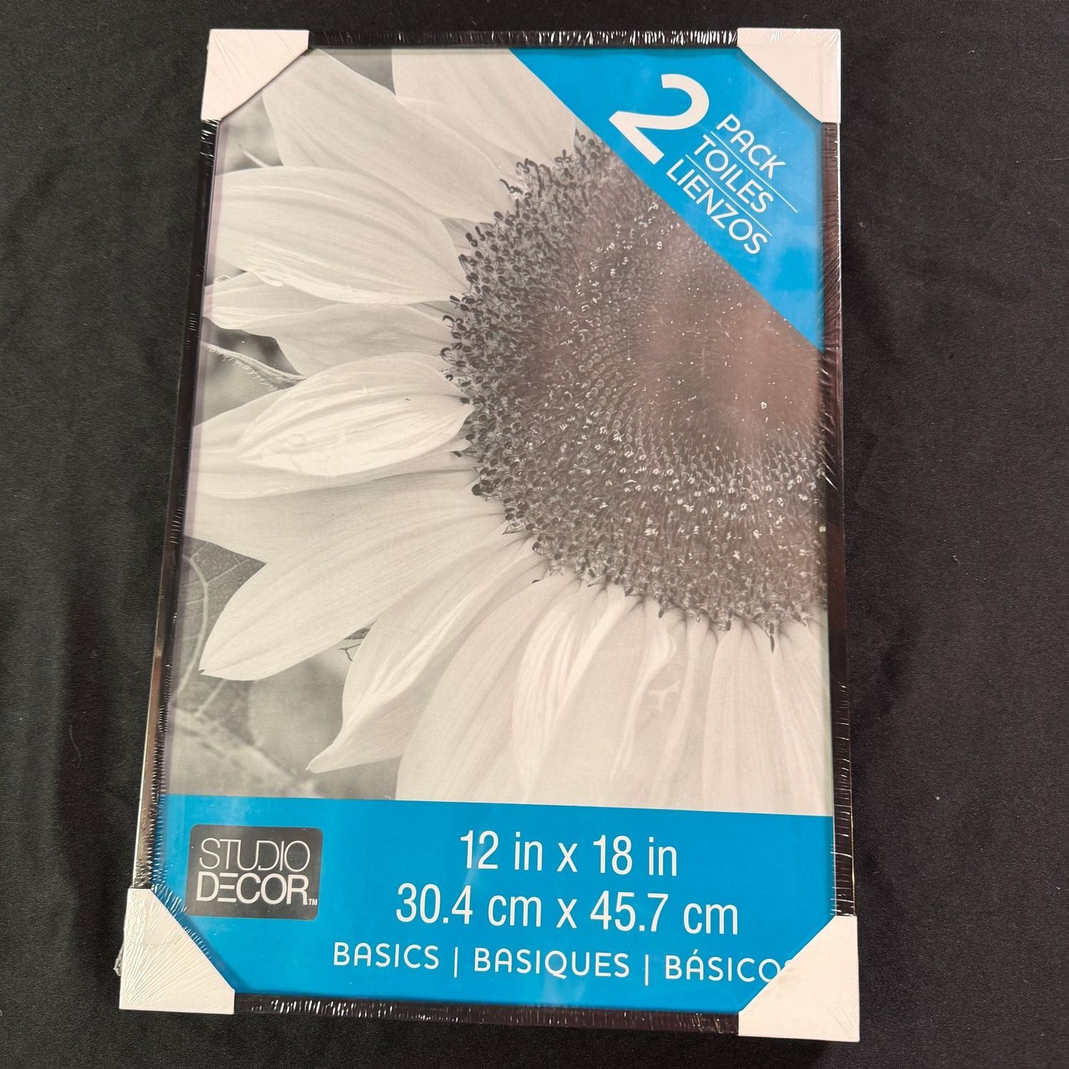 Pair of 12x18 new frames, black metal frame