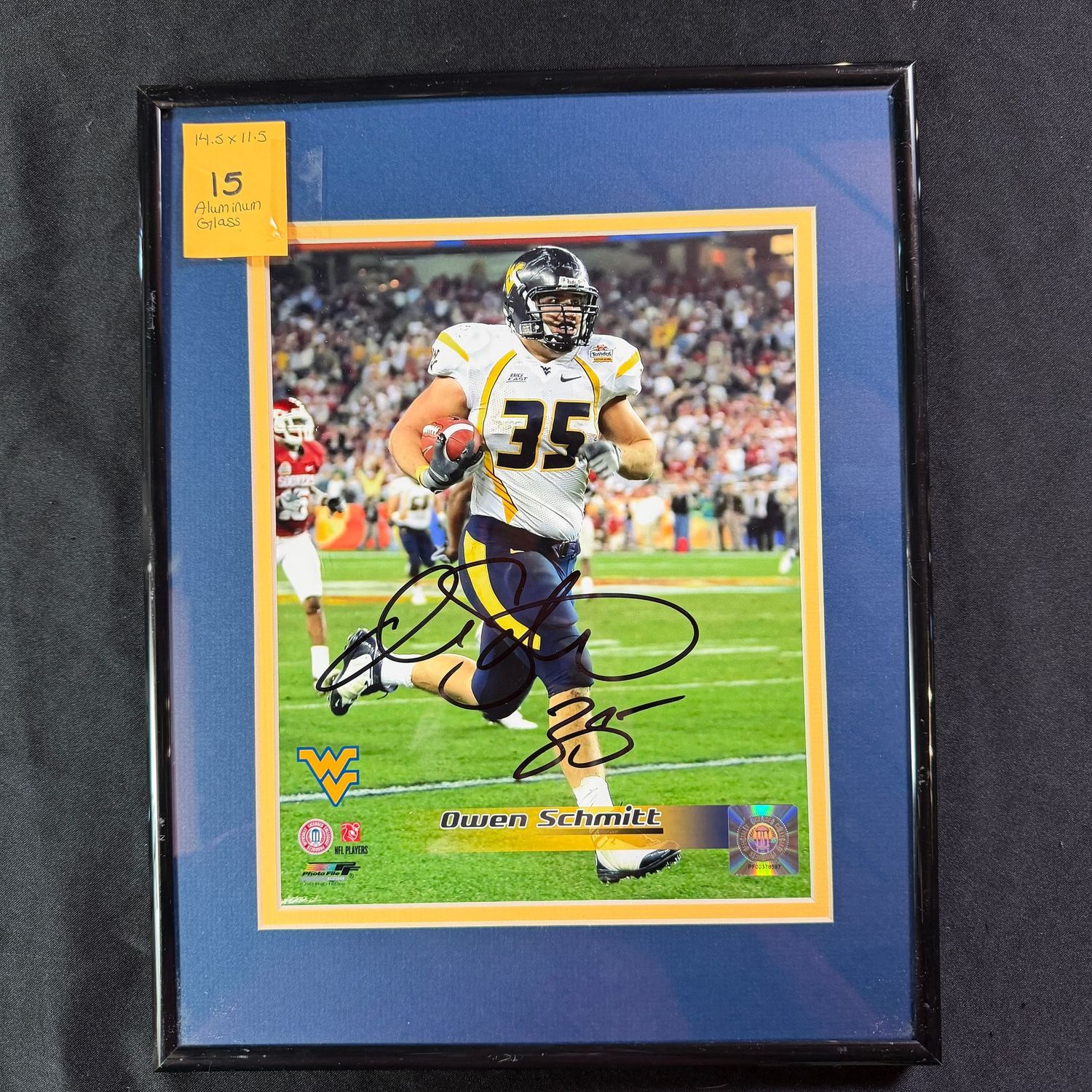 Framed & Signed (Aluminum & Glass) 14.5x11.5  vertical with matting, #15, Owen Schmitt