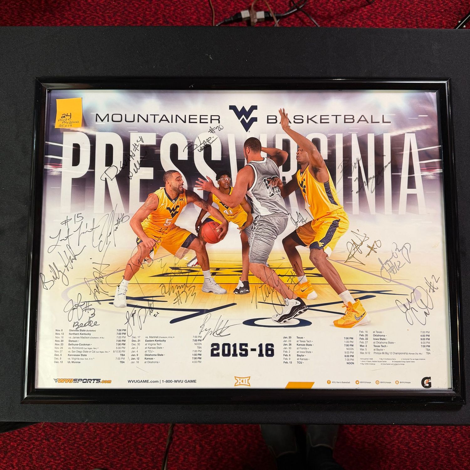 Framed & Signed (plastic w/plexiglass) 19x25, #24, multiple team signatures