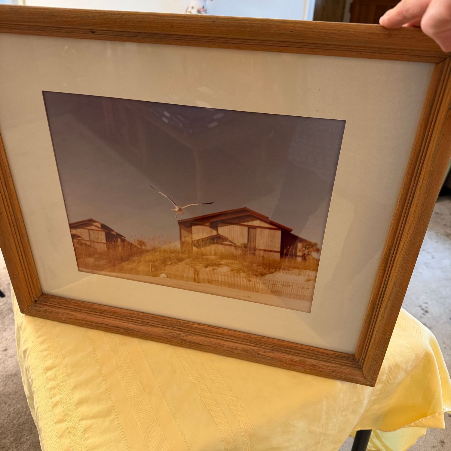 Framed beach seagull photo print, 21" x 18"