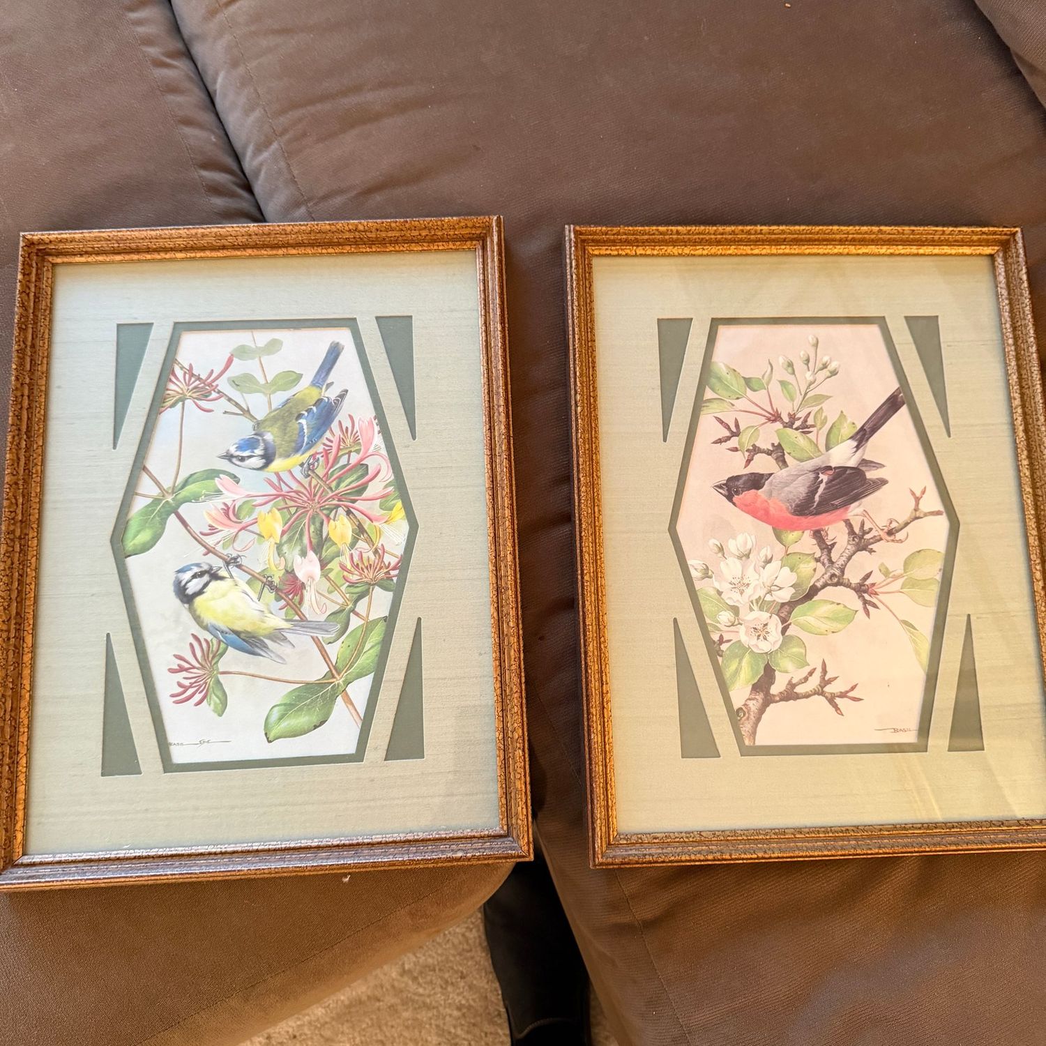 Pair of vintage bird prints, 17" x 13"