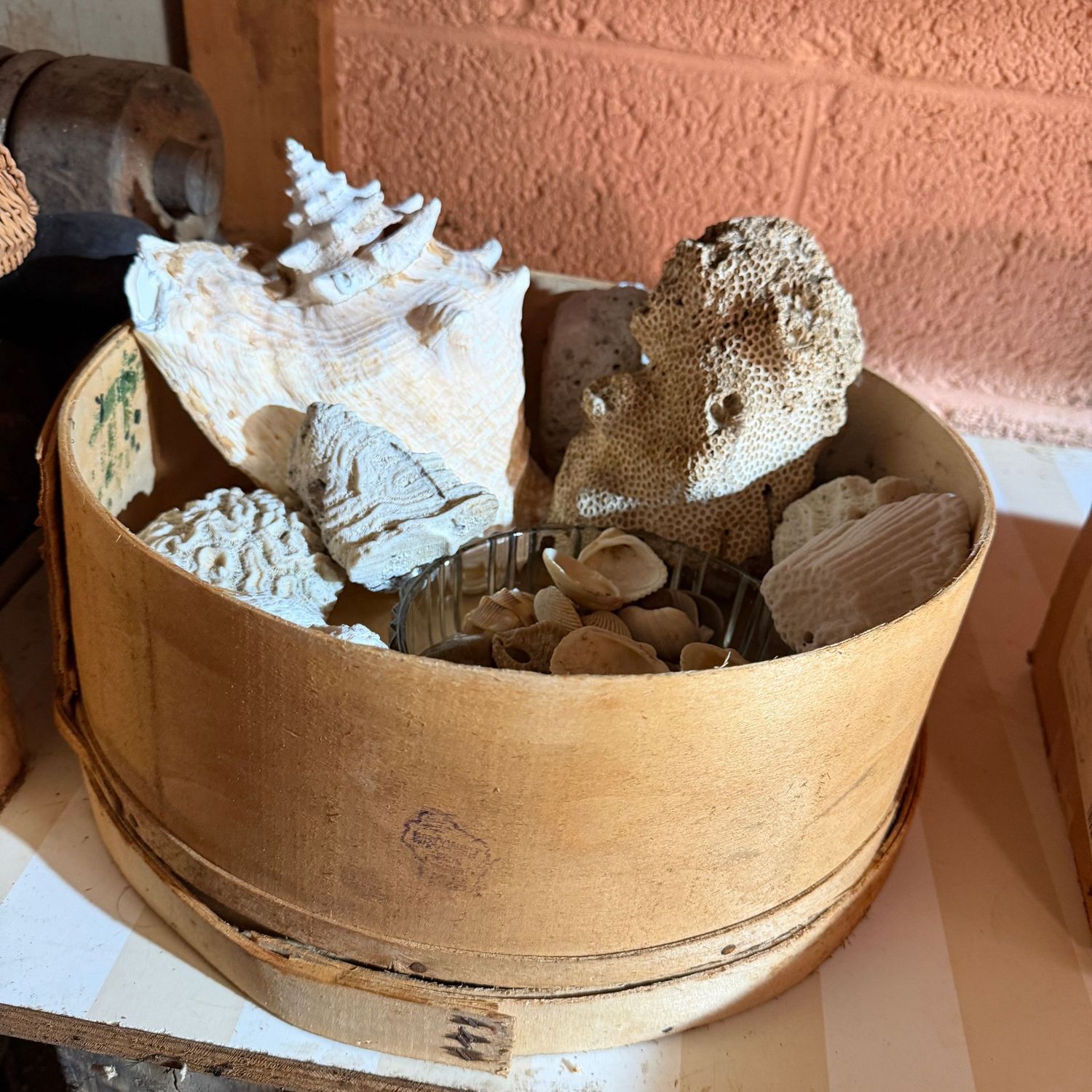 Cheese box of sea shells