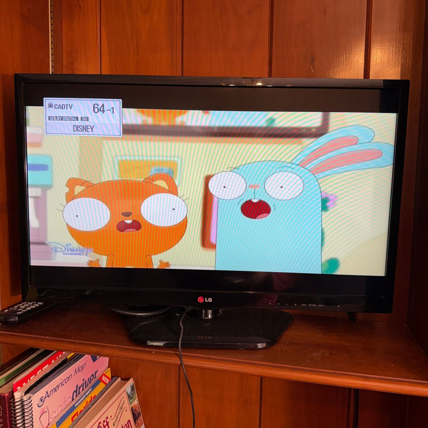 LG, 29" TV, flat screen television with controller, works well (2014)