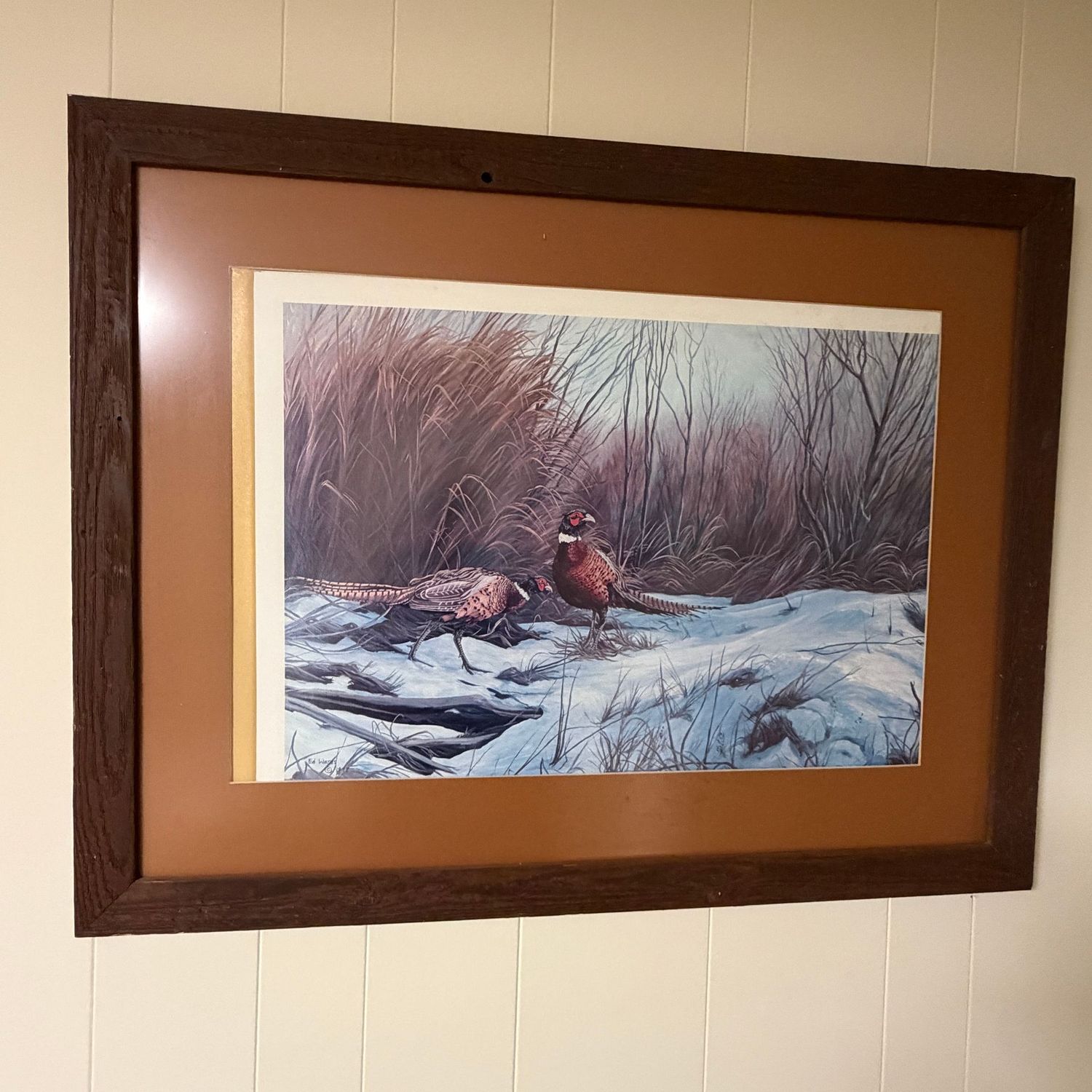 Pheasant print by Ed Wards, in large wooden frame, 29 Pheasant print by Ed Wards, in large wooden frame, 29" x 39"