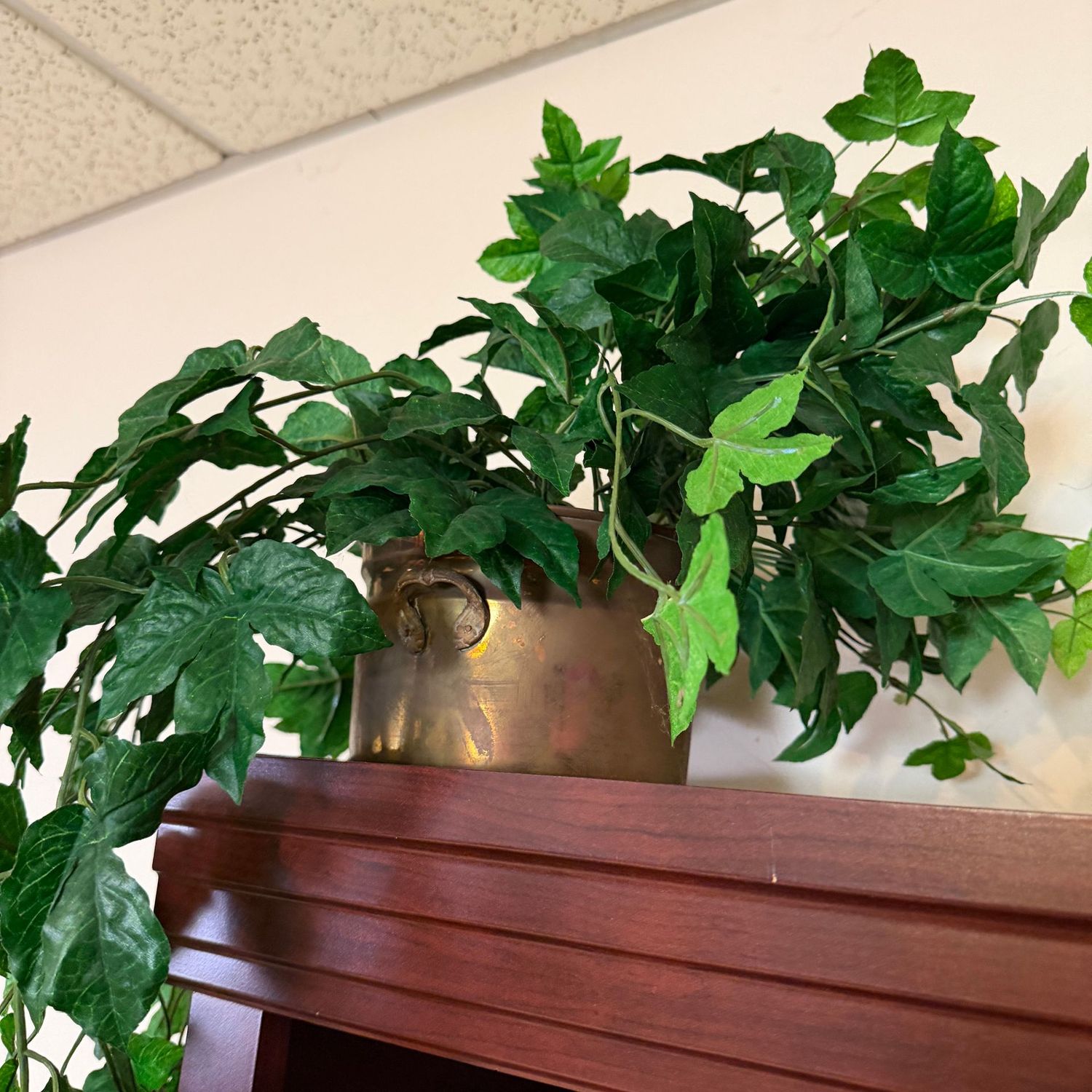 Brass footed planter 4"H, with large ivy arrangement,