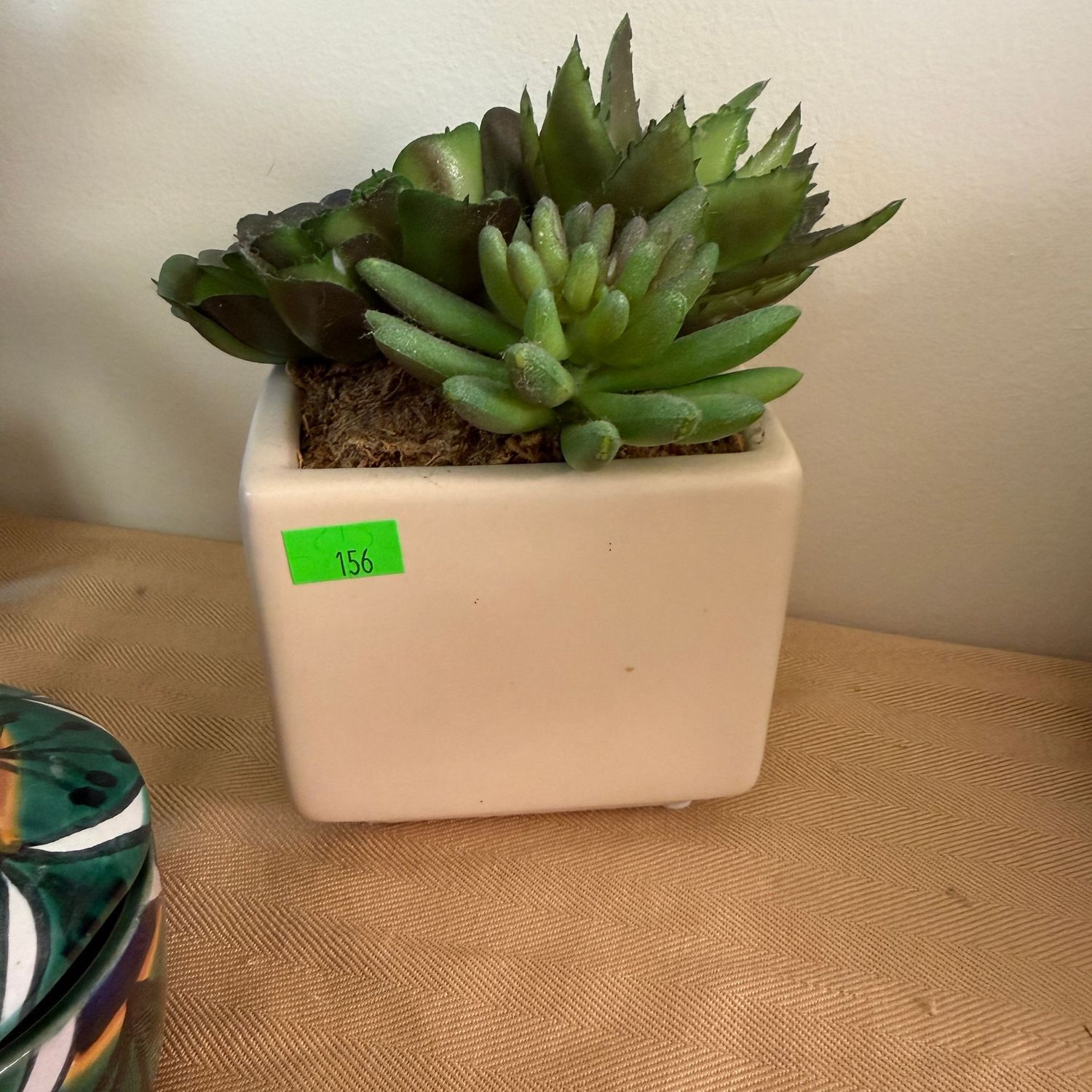 Lot #156, faux succulent in square white planter, 6"
