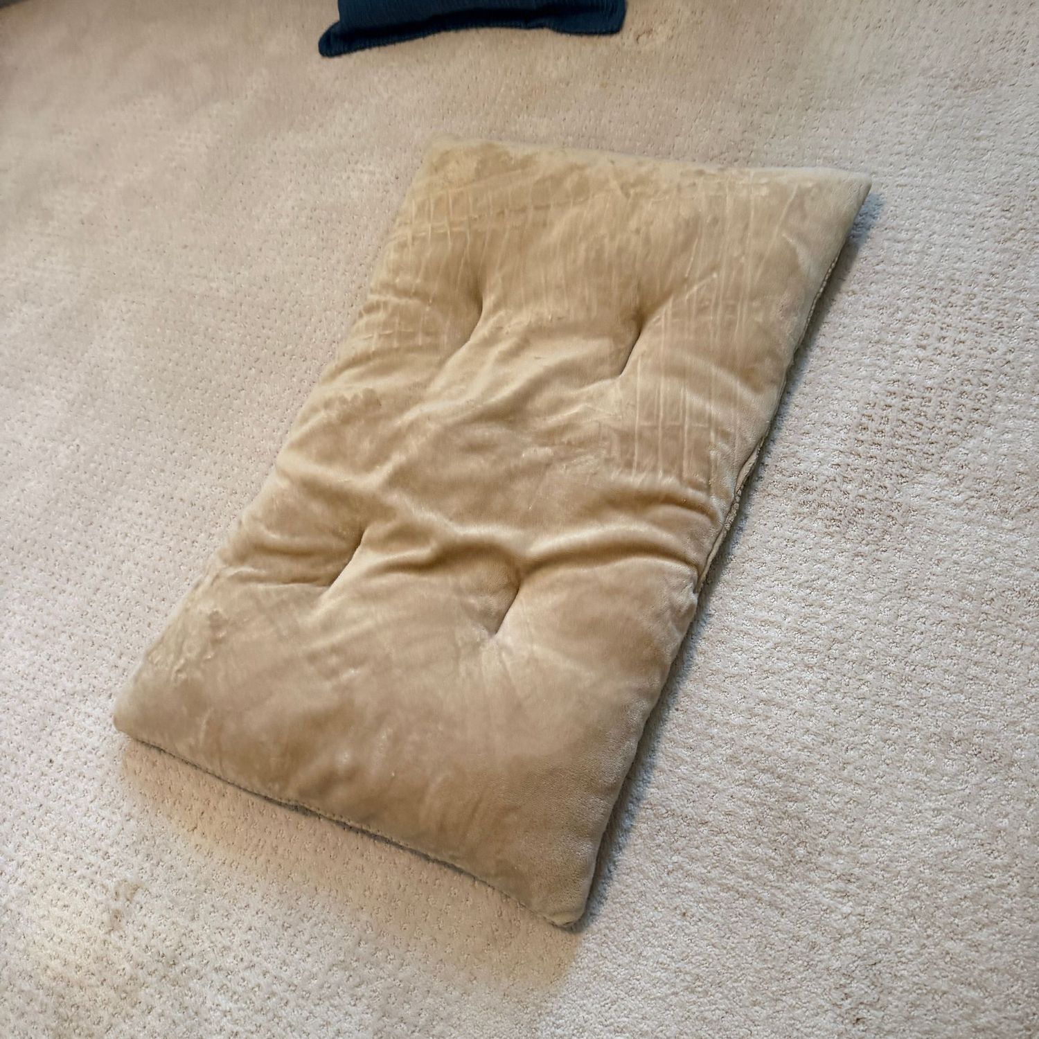 Tan pet pillow, 32 Tan pet pillow, 32"L