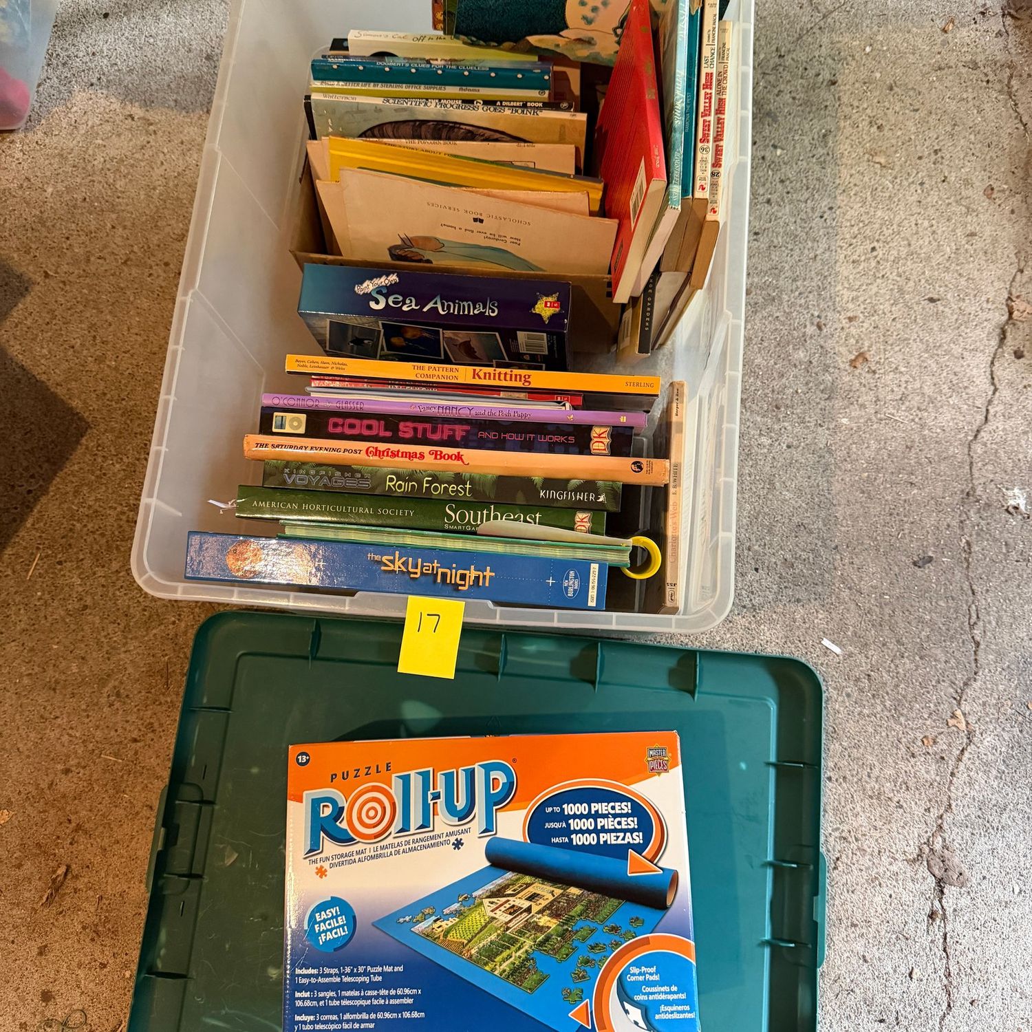 Lot #17, bin of children's books