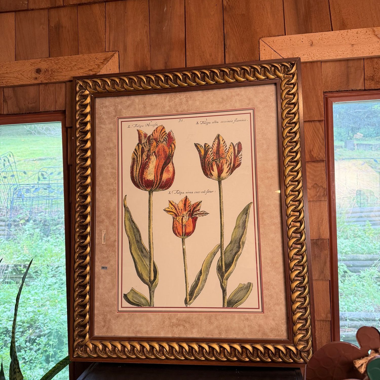 De Passe's Tulipa I, large framed print under glass, substantial frame with interlocking gold rings, 36"H x 30"W, S0874