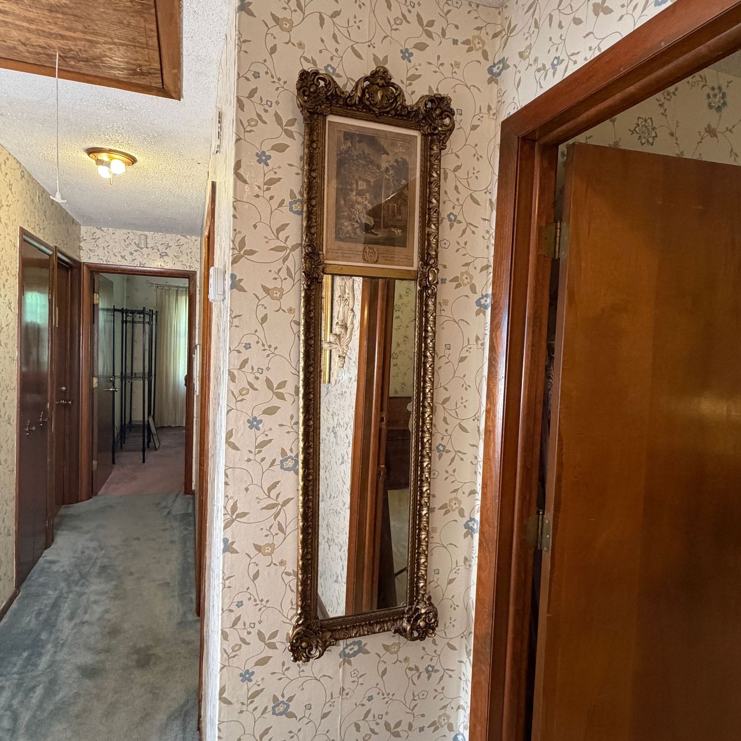 Long Trumeau-style gilt mirror, with etching, 54 Long Trumeau-style gilt mirror, with etching, 54" x 15"