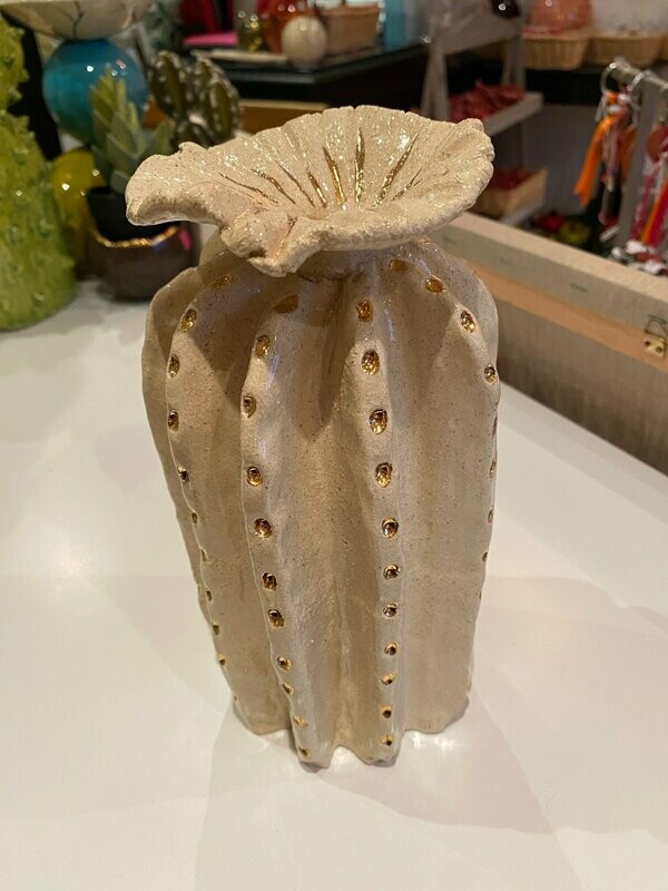 Soliflore cactus