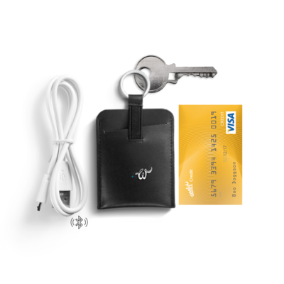Smart key and card organizer