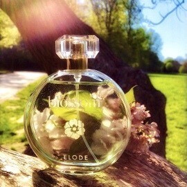 For Her