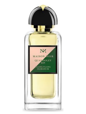 MAISON NOIR QUANDOLEY 805 EDP 50 ML