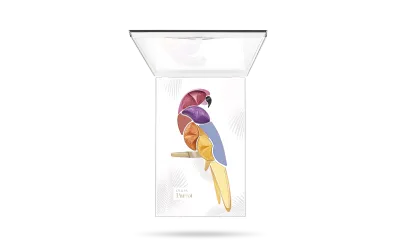 PUPA PALETTE EYESHADOW PARROT NO. 001