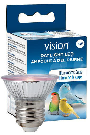 Vision Daylight LED 5W