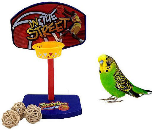 Mini basketball pour oiseaux