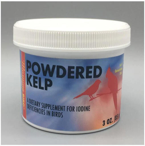 Powdered Kelp/ Algues brunes poudre 3oz