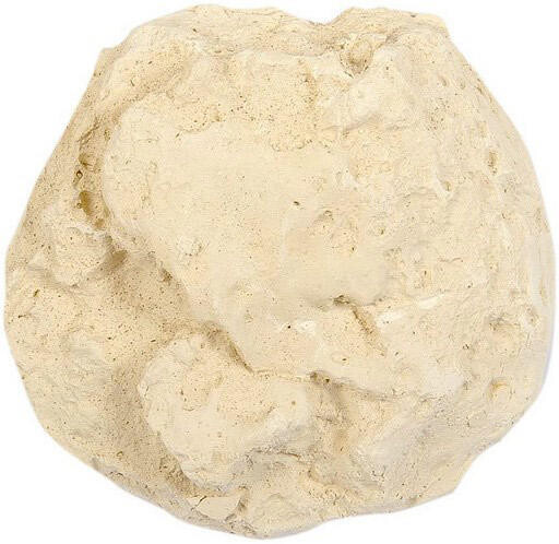 Bloc naturel Manu Grand perroquet