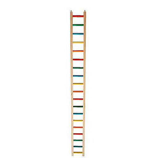 ECHELLE DE BOIS DUR (4.50&#39;&#39;LA)4 PIEDS(COUL)