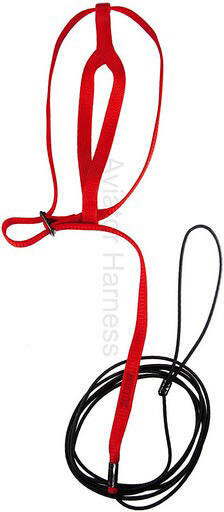 Aviator Harnais Medium Rouge