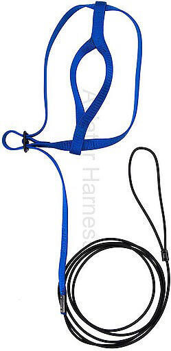 Aviator Harnais Small Bleu
