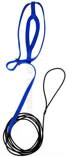 Aviator Harnais Medium Bleu