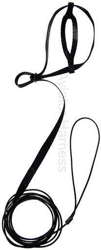 Aviator Harnais Mini Noir