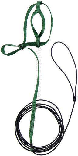 Aviator Harnais Petite Vert