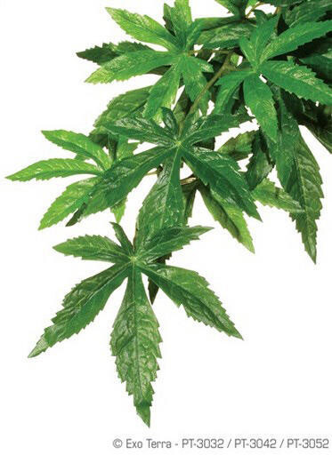 Exo Terra Plante En Soie Abutilon Gr-V
