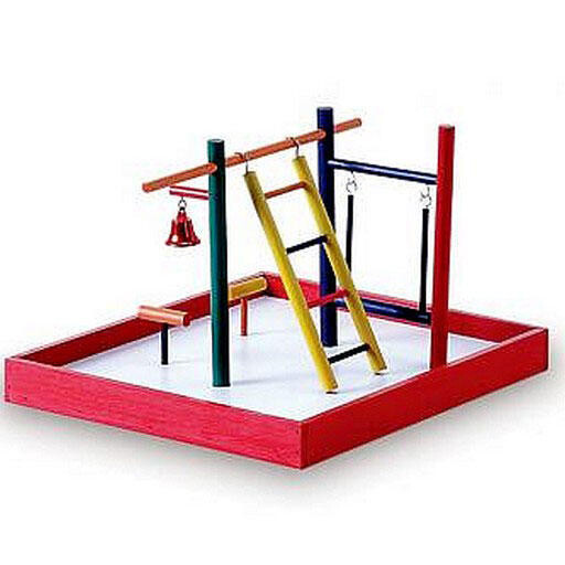 Parc d&#39;amusement pour perruche