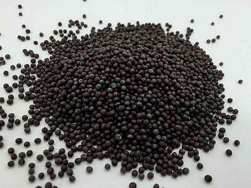 Colza 1Kg