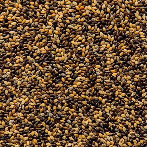 Millet Hongrois 1kg