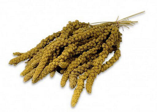 Millet en Grappes Jaune 454g