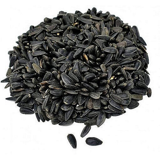 Tournesol Noir 2KG