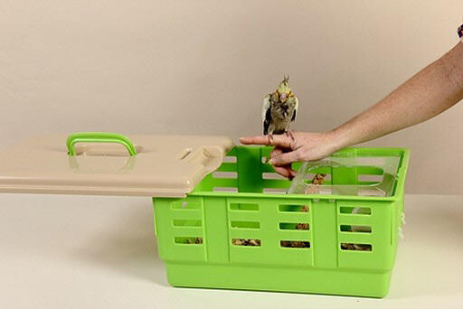 Cage transp.StowawayVoyag.CA,vert/Bge