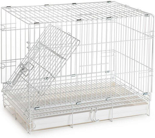 Cage de transport 20x12x16'' Blanc